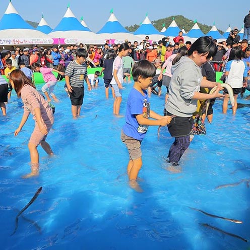 Gijang Conger Eel Festival