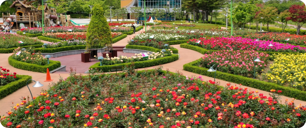 윗골공원 장미정원