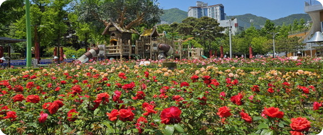 윗골공원 장미정원