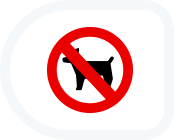 안전수칙 아이콘이미지