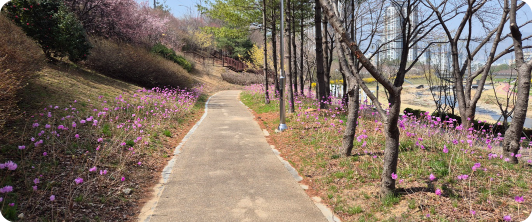 진달래 정원 조성