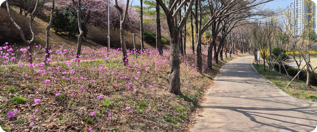 진달래 정원 조성