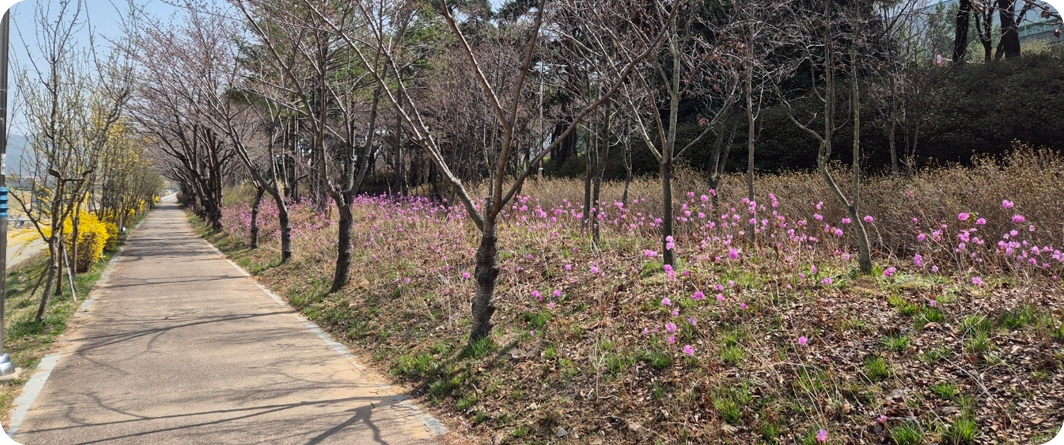 진달래 정원 조성
