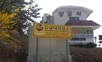 긴급대피장소 표지판 전경(국립수산과학원 앞 도로)