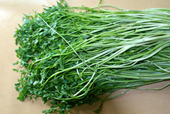 Gijang Water Parsley