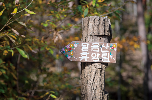 국립달음산자연휴양림