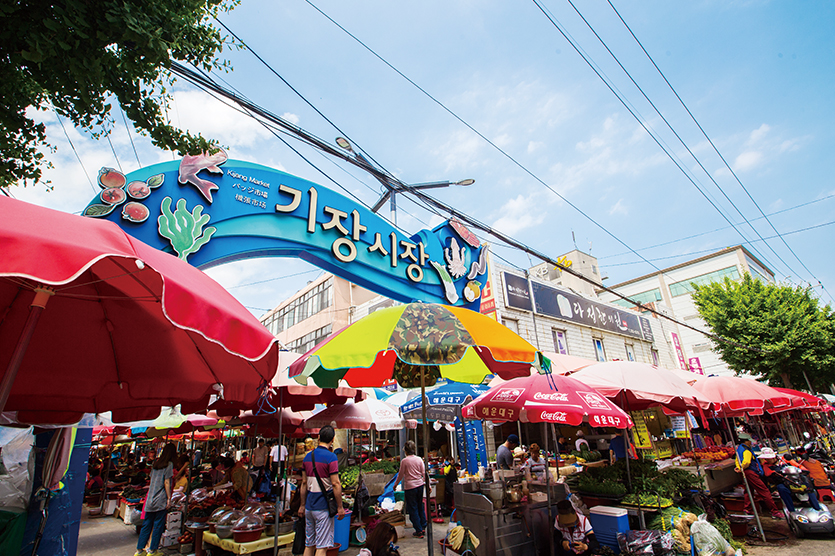 기장시장 관련이미지