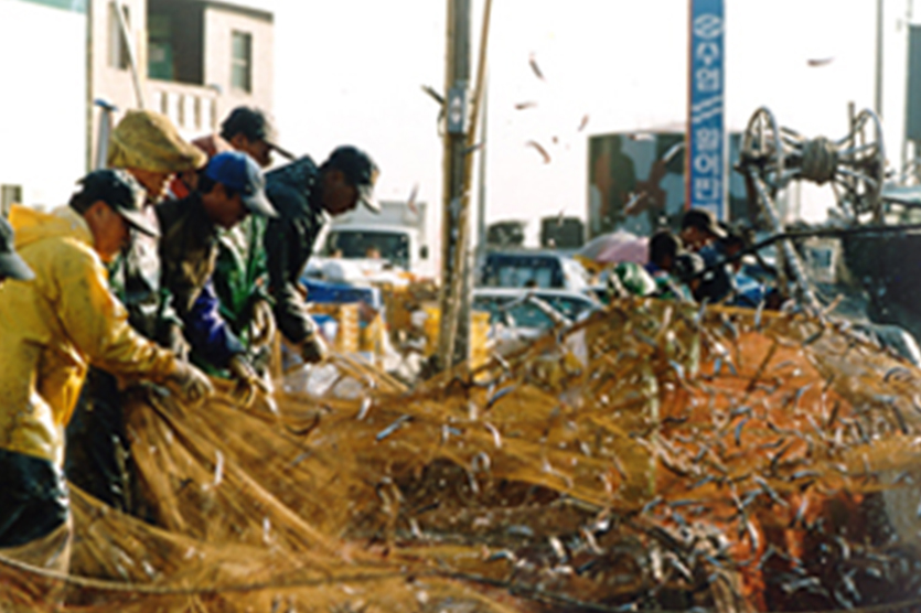 기장멸치 관련이미지