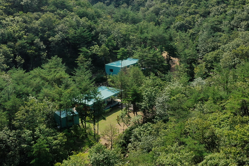 부산 치유의 숲 관련이미지