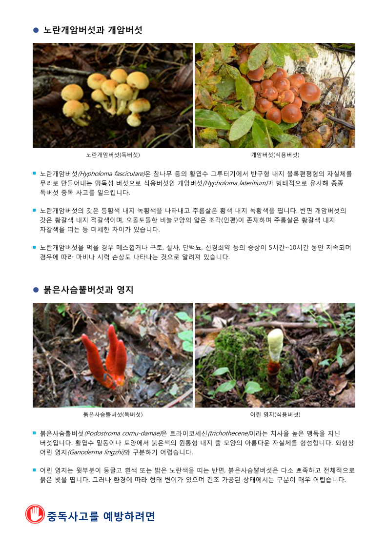 문서뷰어