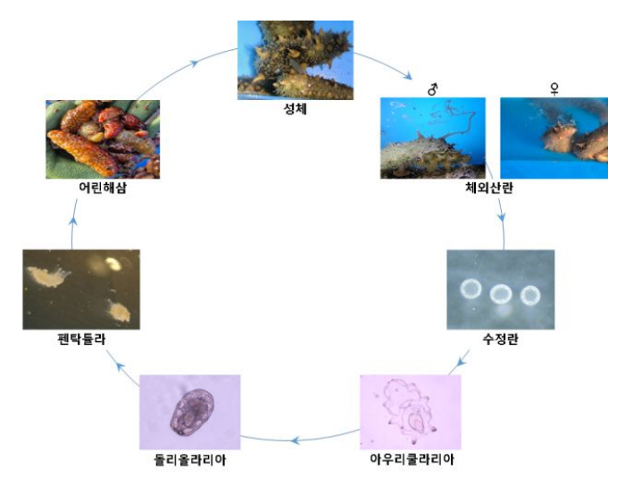 생활사