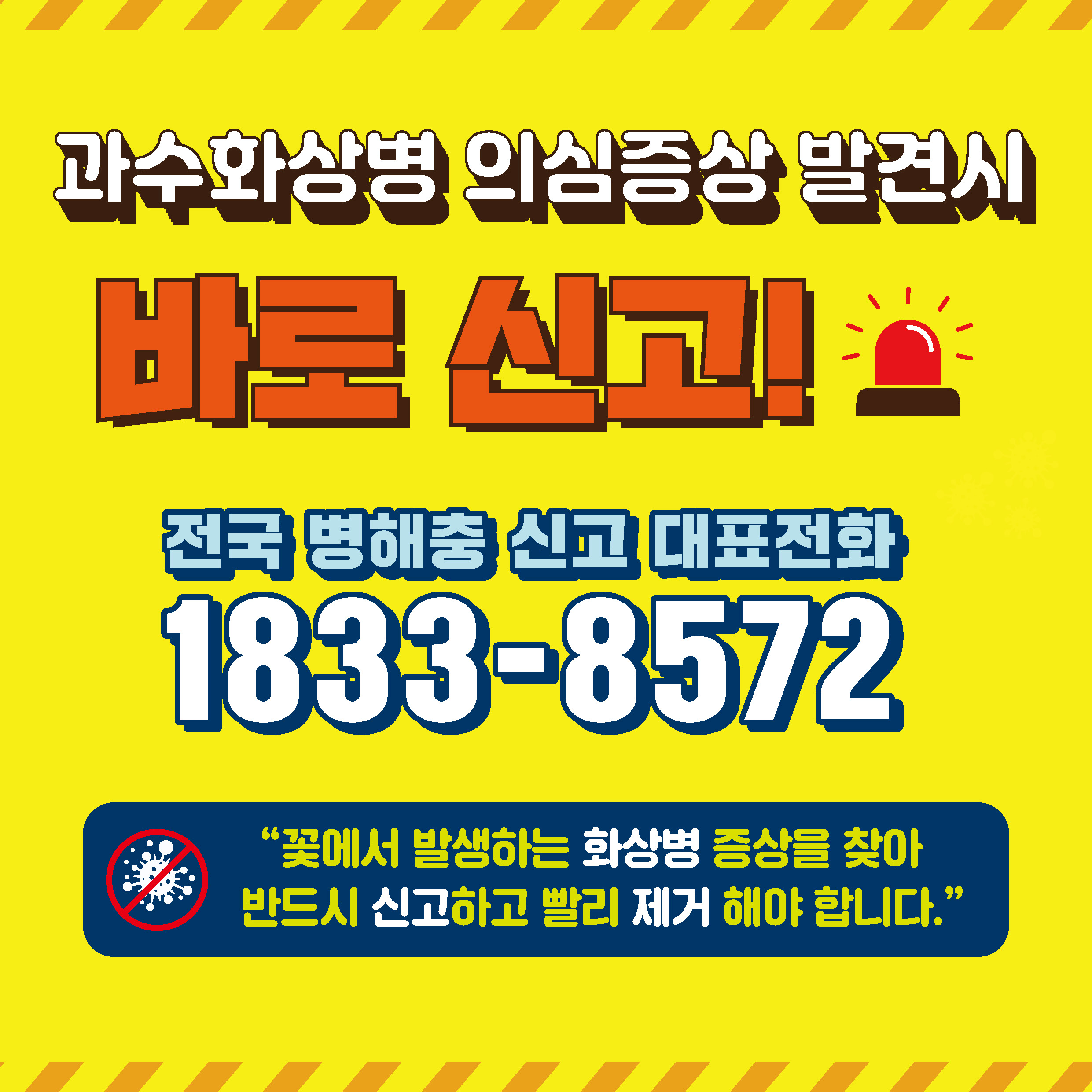 과수화상병 사과·배 꽃 증상 구별요령 카드뉴스 첨부 이미지