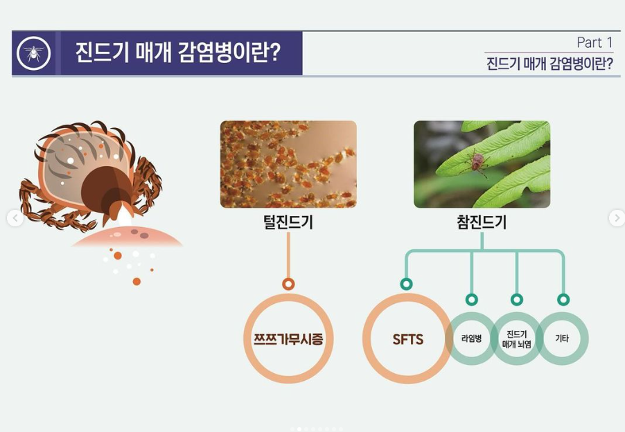 [카드뉴스] 진드기 매개 감염병 예방 및 관리수칙 첨부 이미지