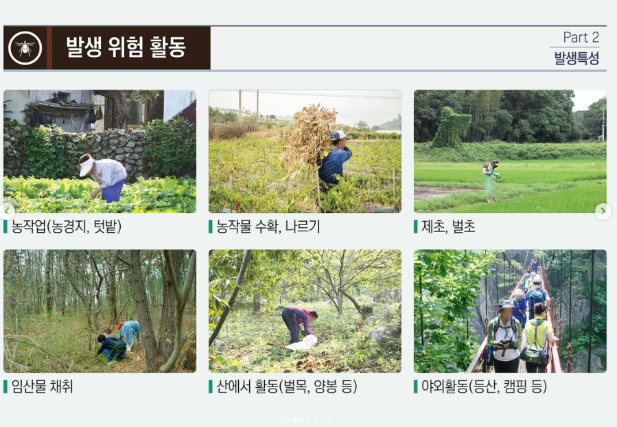 [카드뉴스] 진드기 매개 감염병 예방 및 관리수칙 첨부 이미지