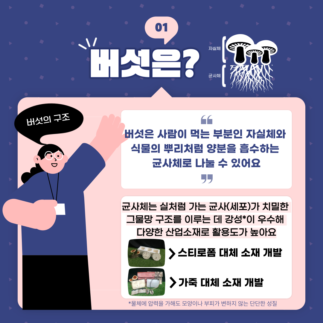 [카드뉴스] 궁금해요! 버섯 포장재, 가죽 시장서 만난다 첨부 이미지
