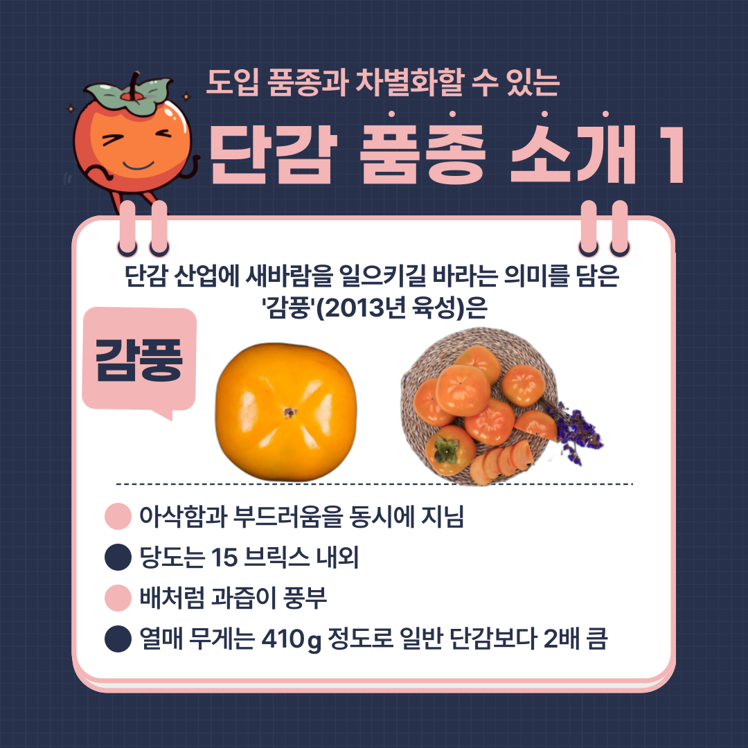 [카드뉴스] 이색 단감으로 경쟁력 키운다 감풍, 봉황 첨부 이미지