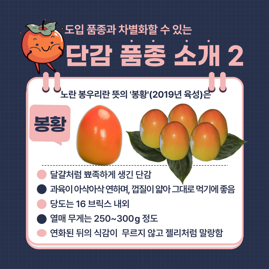 [카드뉴스] 이색 단감으로 경쟁력 키운다 감풍, 봉황 첨부 이미지