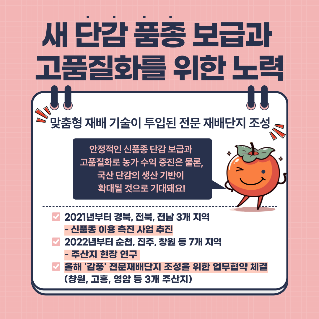 [카드뉴스] 이색 단감으로 경쟁력 키운다 감풍, 봉황 첨부 이미지