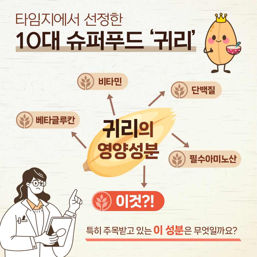 [카드뉴스] 난청 치료 가능성 귀리에서 찾는다! 첨부 이미지