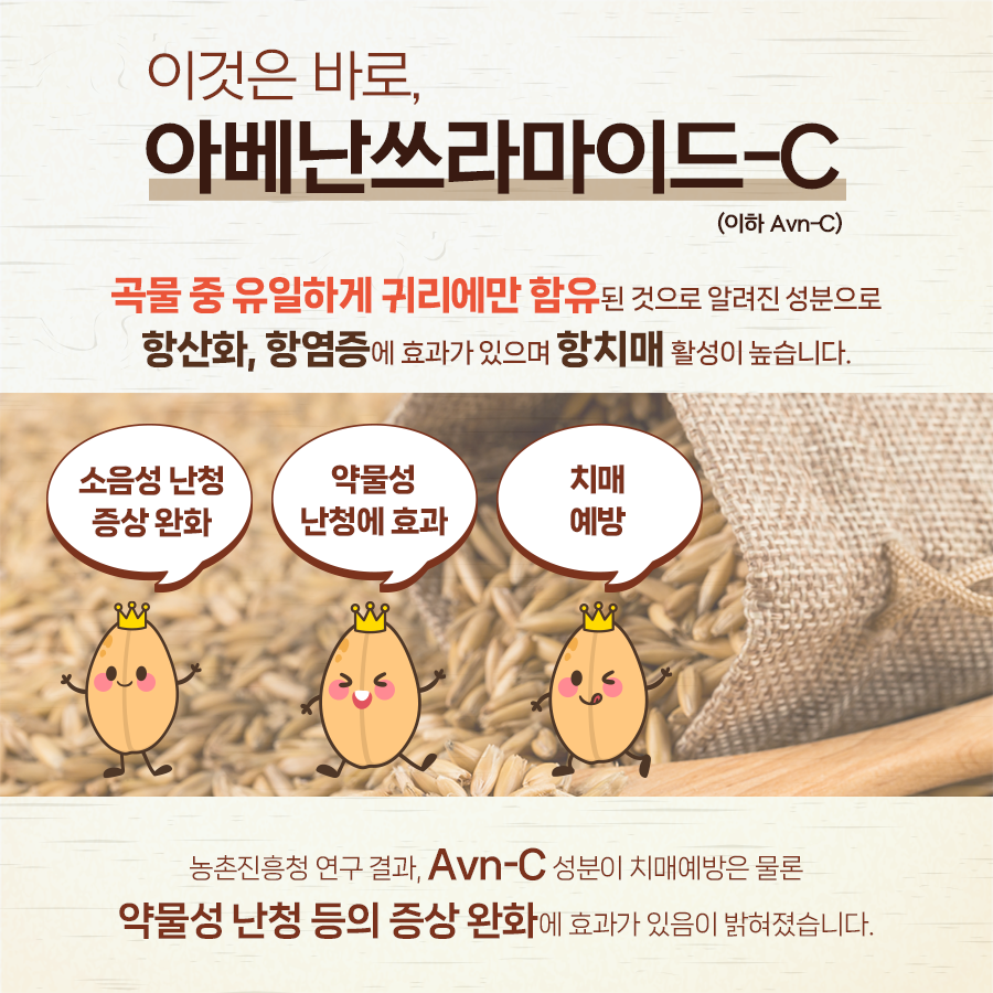 [카드뉴스] 난청 치료 가능성 귀리에서 찾는다! 첨부 이미지