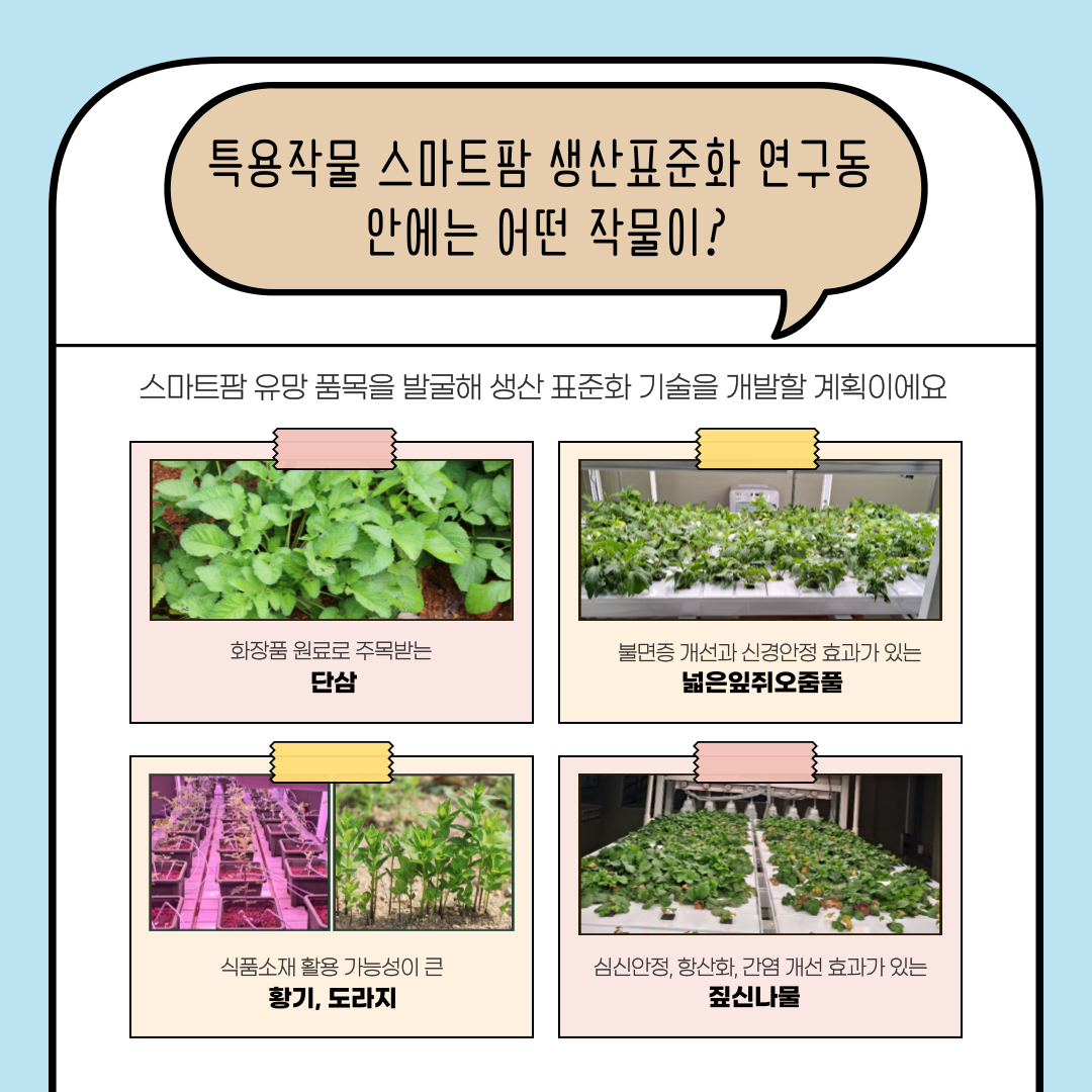 [카드뉴스] 이제 특용작물도 스마트팜으로 첨부 이미지