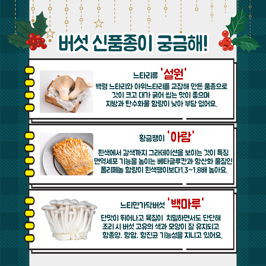 [카드뉴스] 연말 손님 초대상 버섯으로 맛과 건강 더하세요 첨부 이미지