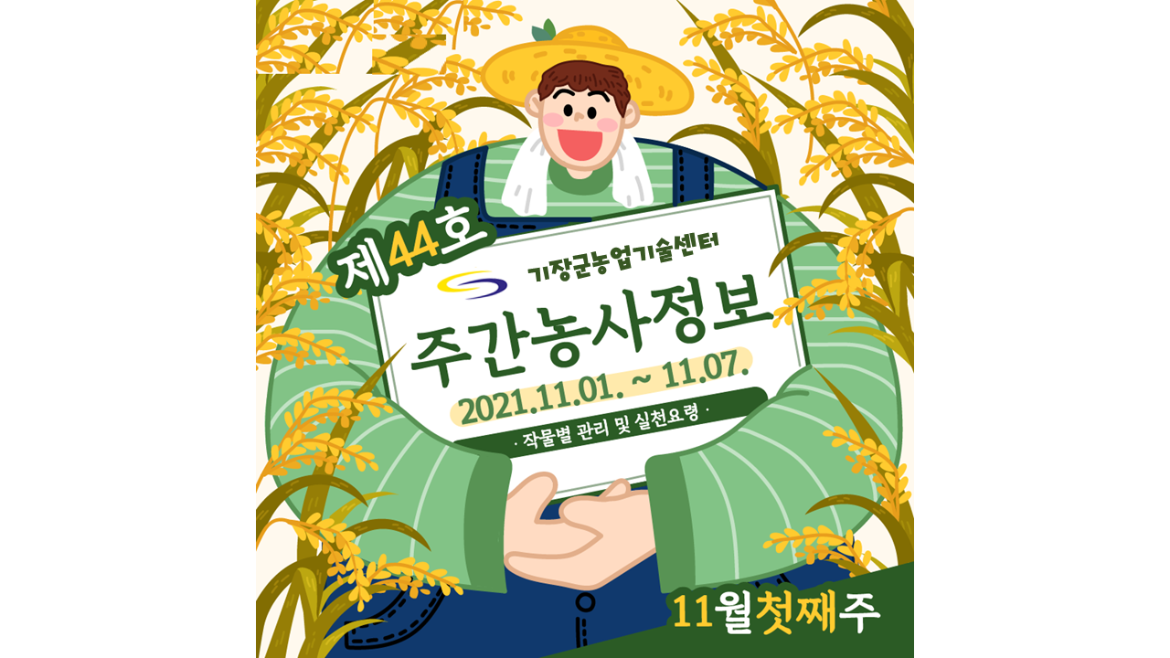 [카드뉴스] 주간농사정보 첨부 이미지