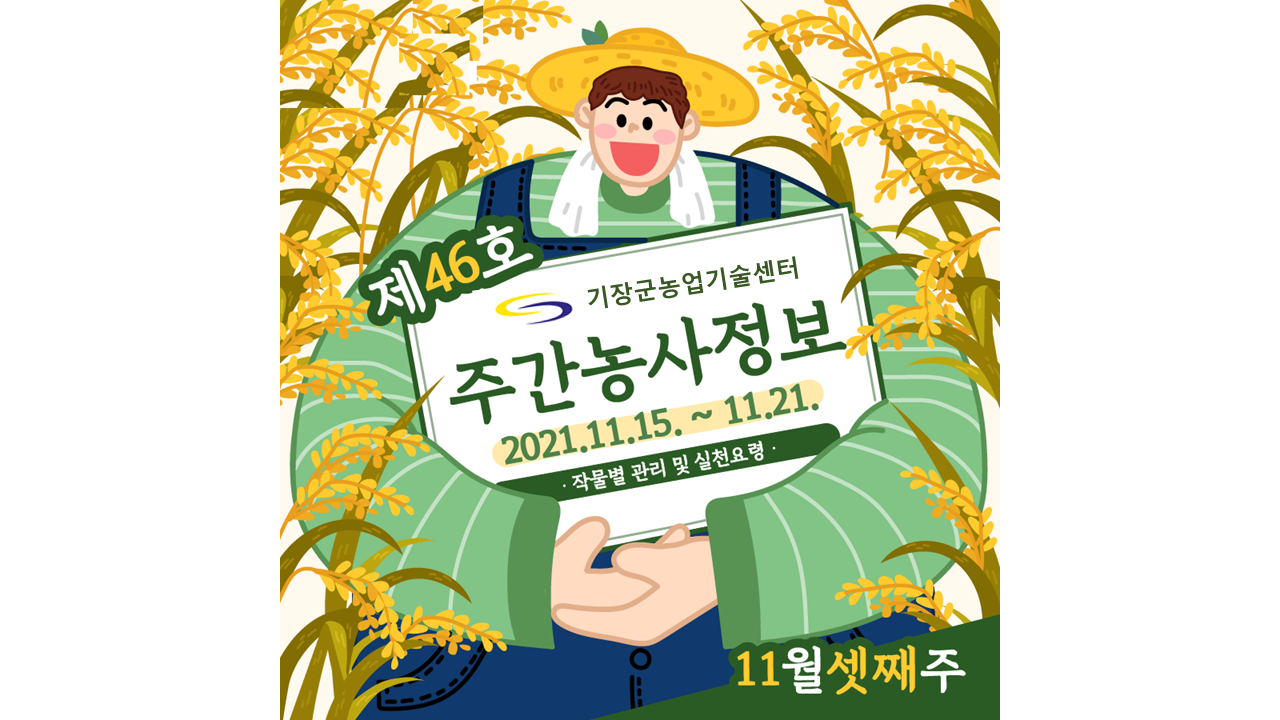 [카드뉴스] 주간농사정보 첨부 이미지