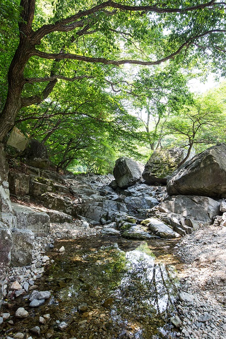 장안사 계곡