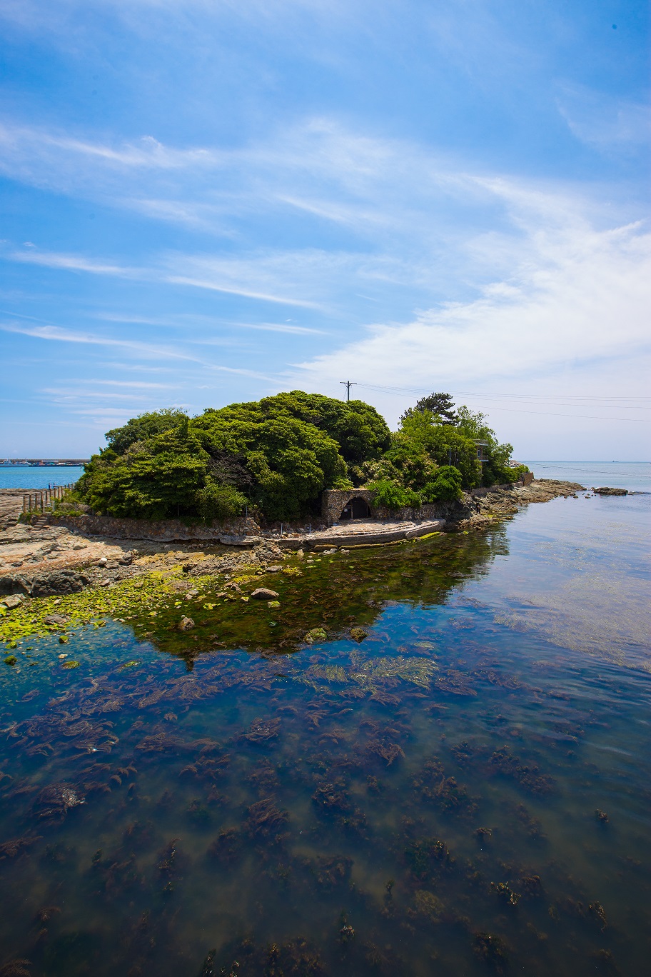 죽도