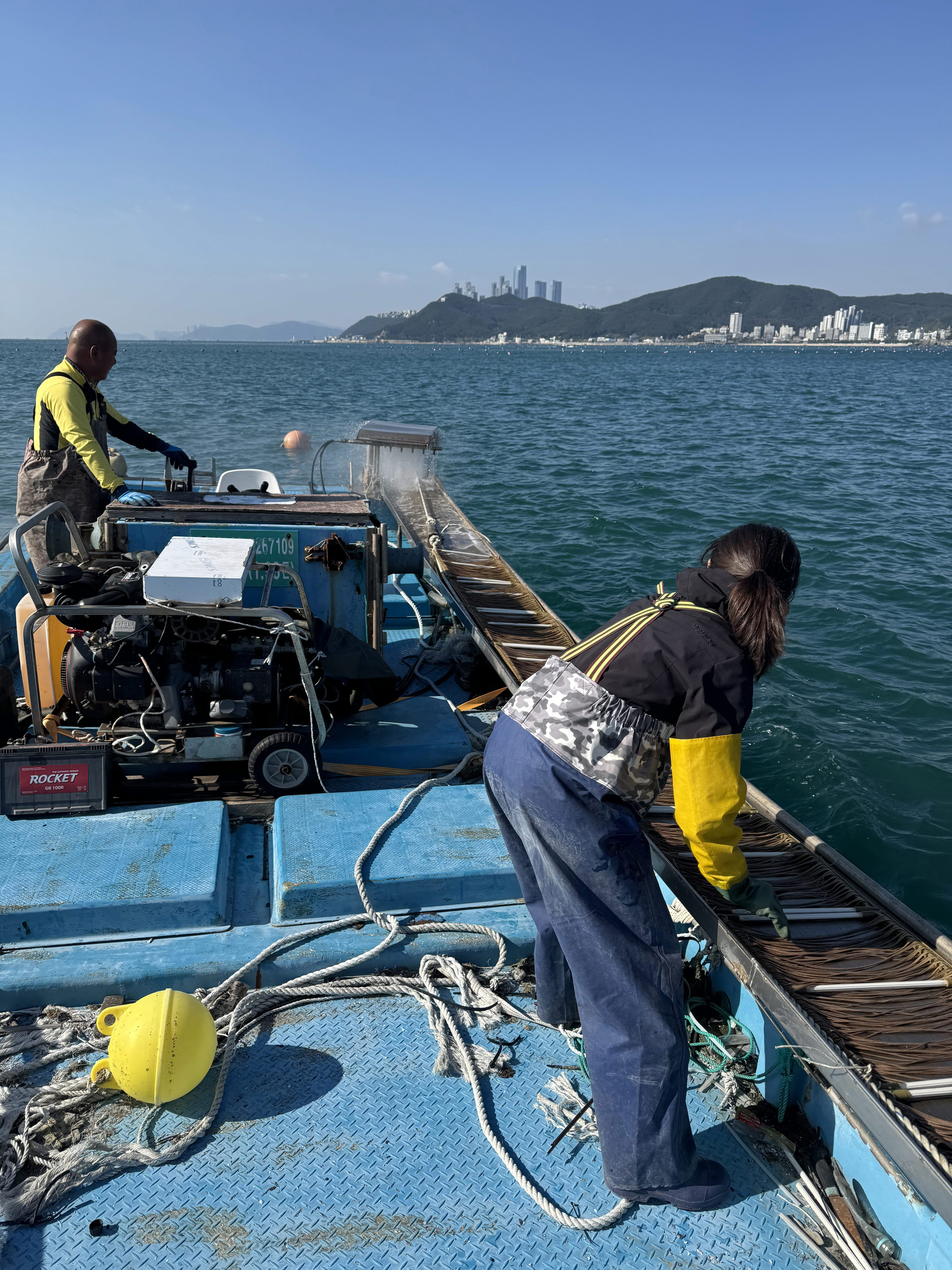 보도자료(2025.11.)_기장군, ‘자체생산 기장미역 종자’양식어업인 보급 첨부 이미지