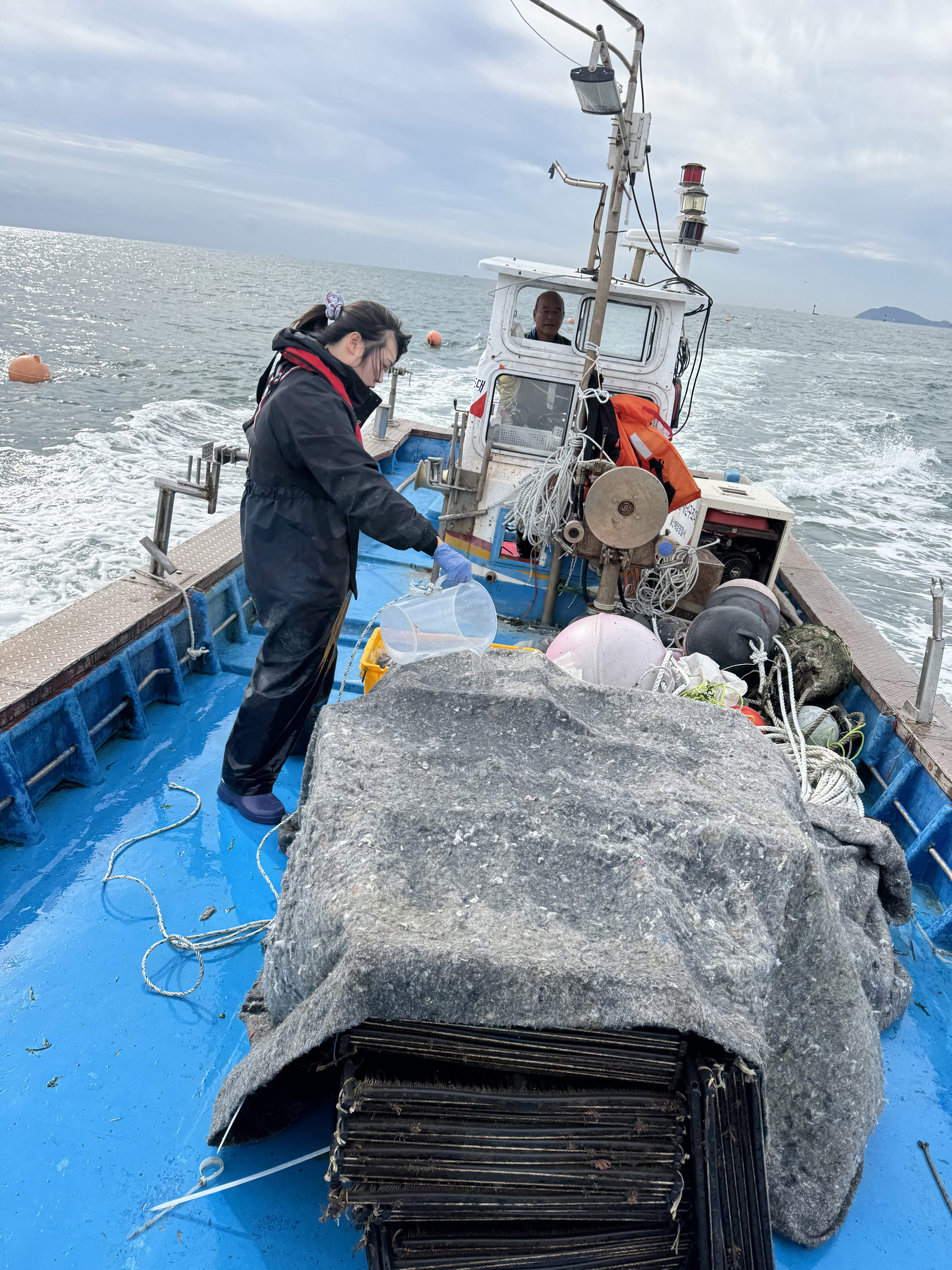 보도자료(2025.11.)_기장군, ‘자체생산 기장미역 종자’양식어업인 보급 첨부 이미지
