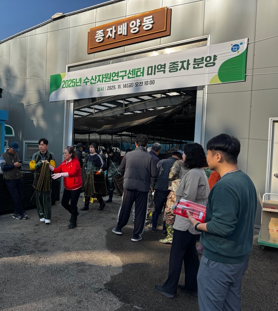 보도자료(2025.11.)_기장군, ‘자체생산 기장미역 종자’양식어업인 보급 첨부 이미지