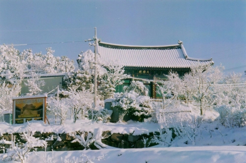 금산사