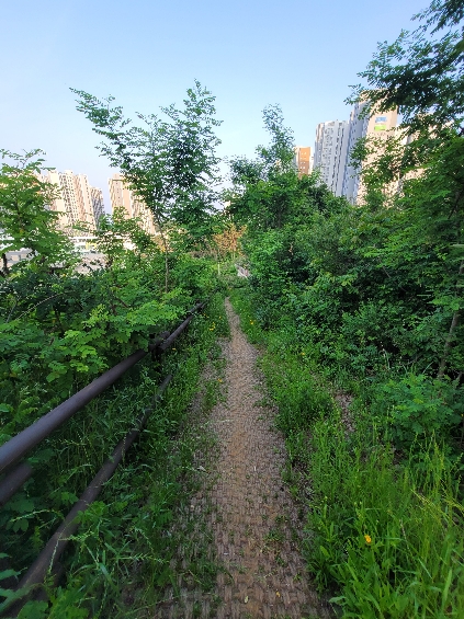기장 1500년길’ 테마길 조성사업관련 건의드립니다 첨부 이미지
