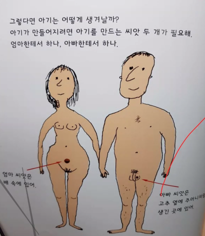 뜨악~어린이성교육 그림책이 포르노수준 첨부 이미지