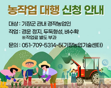  농잡업 대행 신청 안내 대상 : 기장군 관내 경작농업인 작업 : 경운 정지, 두둑형성, 벼수확 ※작업료 별도 부과 문의 : 051-709-5314~5(기장농업기술센터)